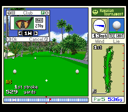 Waialae Country Club (USA) In game screenshot